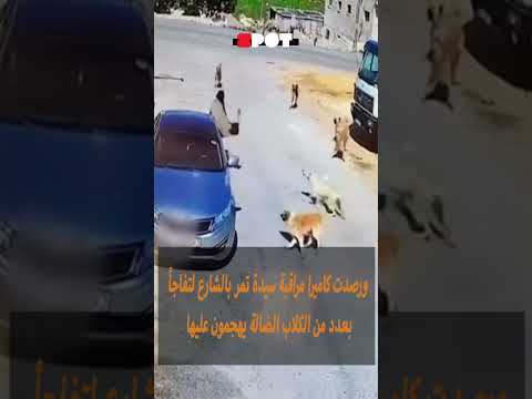 رجل ينقذ امرأة من مجموعة كلاب ضالة في مشهد بطولي في الأردن