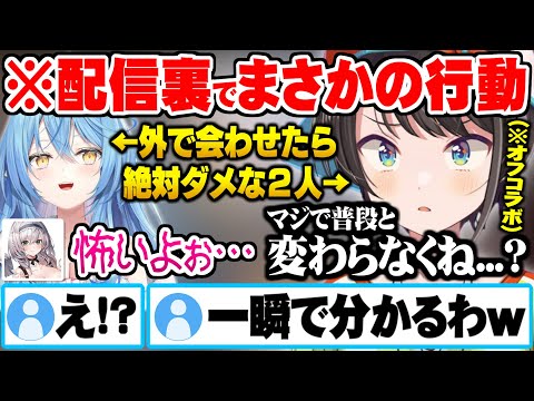 街中を並んで歩いたら確実に即バレするほど裏での行動がいつも通りなラミィとスバルに怯える団長w【ホロライブ 切り抜き 白銀ノエル 大空スバル 雪花ラミィ オフコラボ】