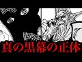 真の黒幕はイム様ではなく●●●です。イム様の正体は●●●の●●●です。【ワンピースネタバレ】【ワンピース考察】【ワンピース最新話】