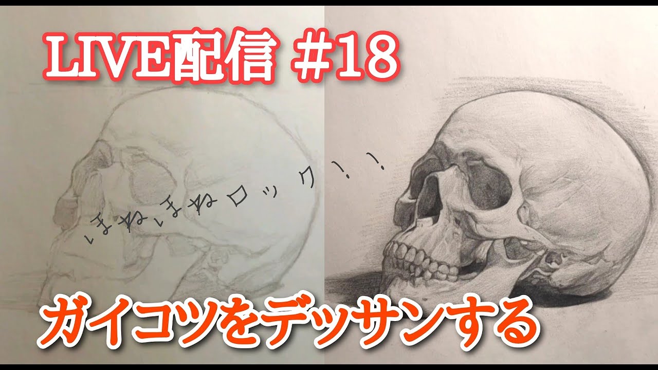 【鉛筆デッサン】第18回ライブ配信 頭蓋骨のデッサン pencil drawing - YouTube