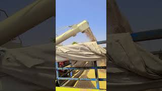 Combin #combine #kisanlife #kanak #jaatlife #jamidara