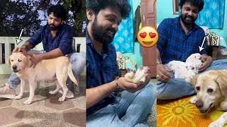 Rakshit Shetty Introduces Charlie Puppies | Super Cute ❤😍 | #777charlie | Santosham Updates