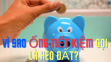Vì Sao Ống Tiết Kiệm Thường Gọi Là Heo Đất?| NMT T1879