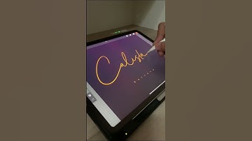 Siganture design #signaturestyle #procreate #lettering #ipad #logo #customlogo #handlettering #font