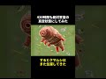 地上最強の生物クマムシの秘密🤫暴露します🔥