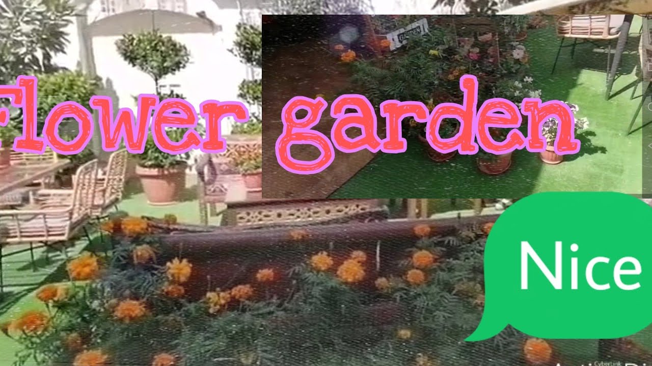 GARDEN FLOWERS - YouTube