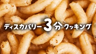 ディスカバリー3分クッキング | ウジ虫シチュー (ディスカバリーチャンネル)
