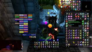 Scarlet Enclave, Season of Discovery. (Ten) Wild Growth US, Shaman Tank PoV,