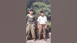 Wild Rose Korean Song