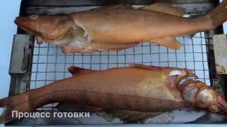 картинка: Судак горячего копчения