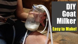 DIY Mason Jar Goat Milker.  Under $30!