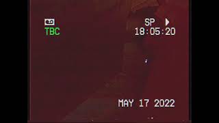 I GOT HIM ON CAMERA