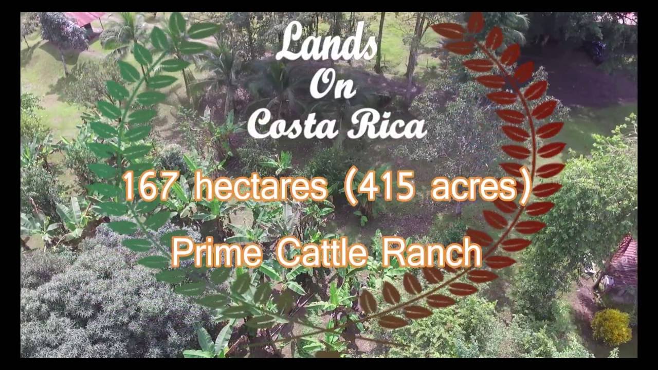 167 Hectares prime cattle ranch for sale in Costa Rica!! YouTube