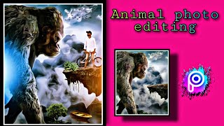 animal lover concept || animal lover photo editing | animal photo editing in PicsArt#animalphotoedit screenshot 3