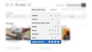 Vektkonsulentene Kostprogrammet
