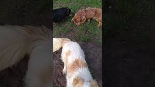 VID 20210424 0837220