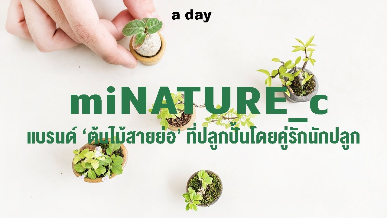 แบรนด์ต้นไม้จิ๋วของคู่รักนักปลูก : miNATURE_c I Founder