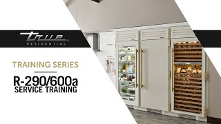 R 290 600a Service Training True Residential Youtube