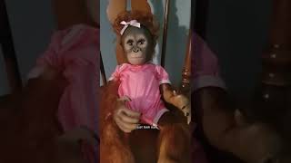 Something s Inside The Doll    Credit  @cassieomalley3244  #scary #paranormal #haunted  #creepy