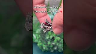 Ebf621474Ba1366Ebf46C193Bcf5Abf6