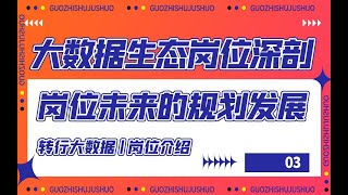 【转行大数据】3-大数据岗位介绍你了解岗位未来的规划发展吗？大数据生态岗位深剖