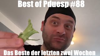 Das Beste Der Letzten Zwei Wochen Pduesp Pdp Performance Impressionen Sneak Peek By Pduesp
