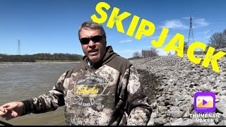 Skipjack Update 3-24-25