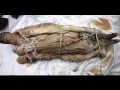 Шокирующая загадка Китайской мумии Синь Чжуй
