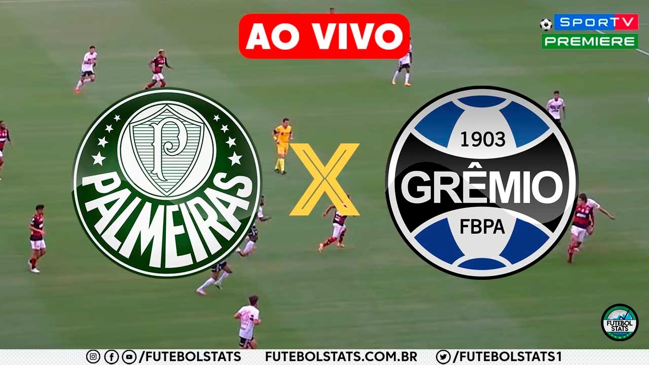 Palmeiras x Manthiqueira ao vivo e online, onde assistir, que