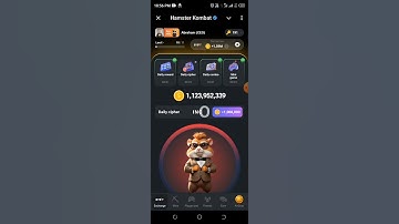 Hamster Kombat Daily Cipher Code Today 14 August 2024