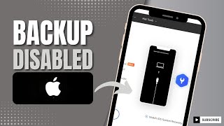 How To Backup Disabled/Unavailable/Locked iPhone Or iPad (2024)
