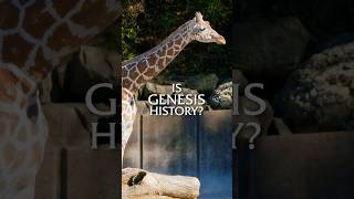 Why Is This Scientist a Creationist?