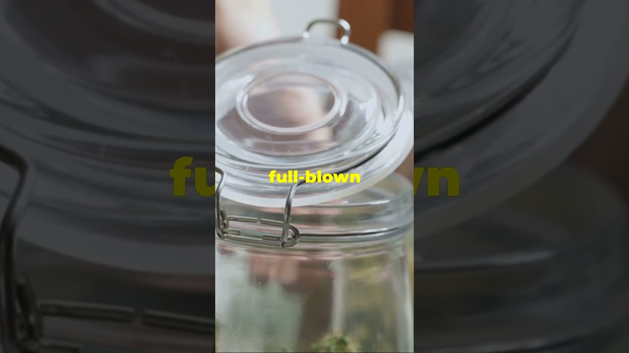 Marijuana Reclassification: Impact on the United States! 🌿🇺🇸