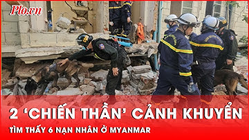 2 ‘chiến thần’ cảnh khuyển xông pha, Việt Nam đưa 6 nạn nhân ra khỏi đống đổ nát ở Myanmar | Thời sự