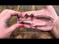 Cute fish cookie cutter to try!