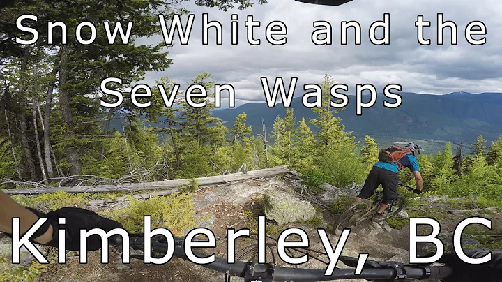 Snow White and the Seven Wasps - Kimberley, BC