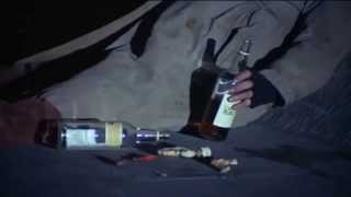 A drunk bum sings Molly Malone under the bridge