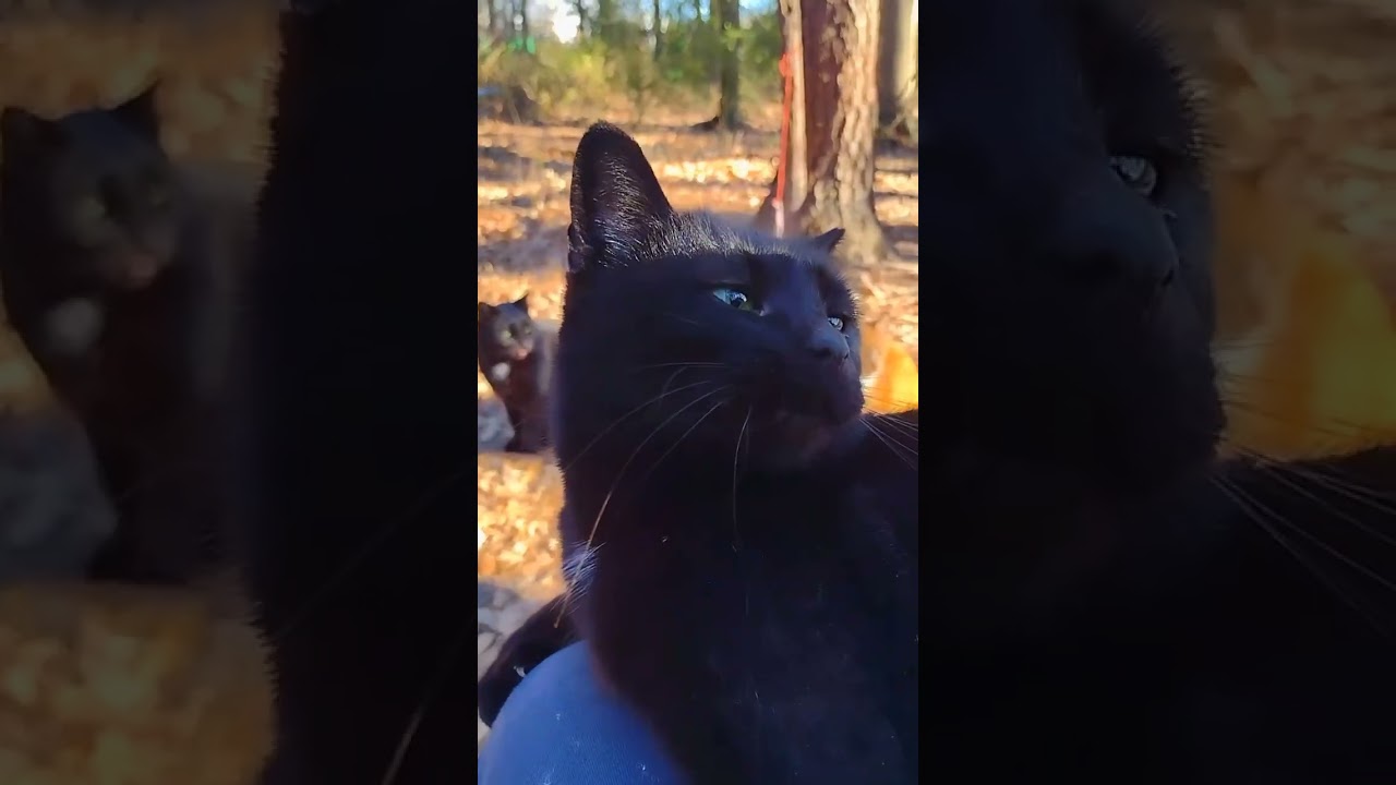 Wow-Jealous?!She Changed My Password to MyaStinks😹