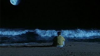 Murat Dalkılıç - Yalan Dünya/Alt Yazılı/ - Pink Leader