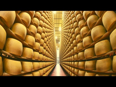 COMO Se HACE El Queso No Vas A Creer Lo Que Sucede Durante Este Proceso 