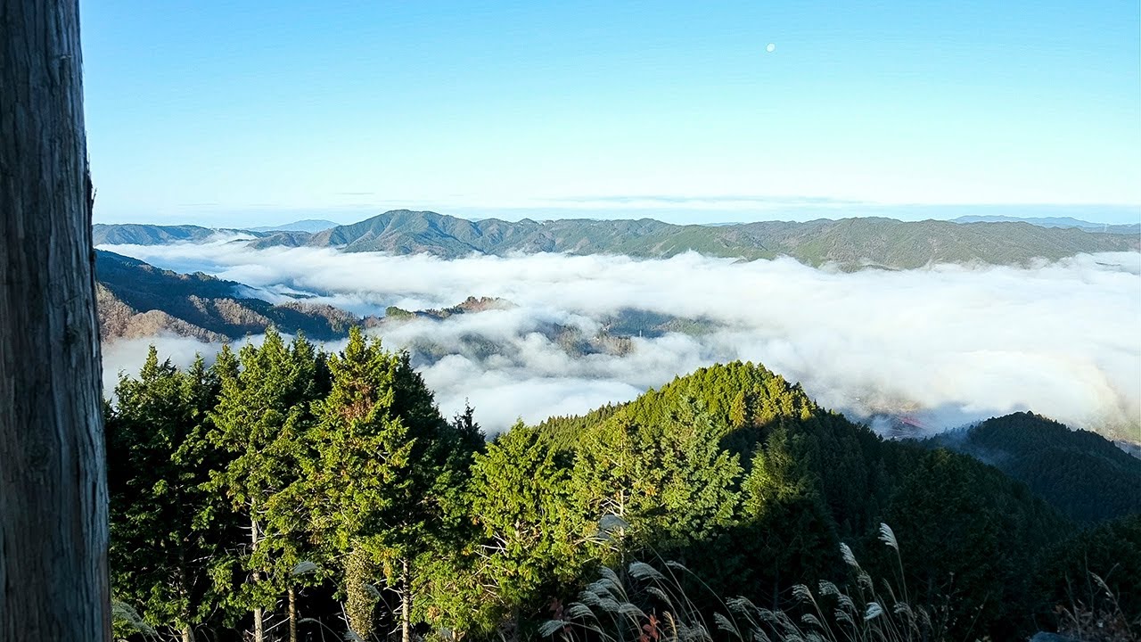 押山 雲海 | 愛知県西三河エリアの公式観光サイト 西三河ぐるっとナビ