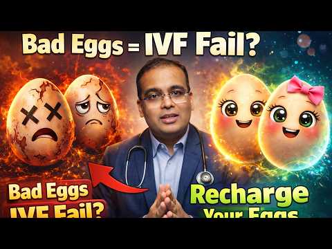 Poor Egg Quality? How to Improve It Naturally in 90 Days