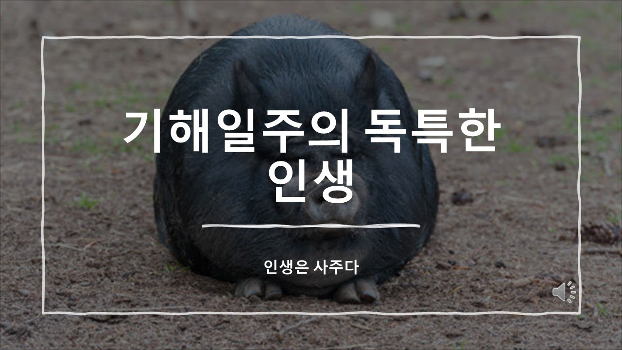 남들이 잘 모르는 기해일주만의 특이한 인생!!