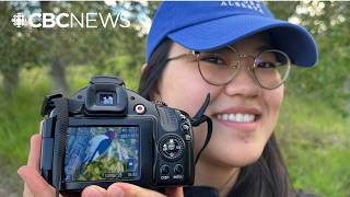 Endangered woodpecker draws birders to Calgary wildlife sanctuary