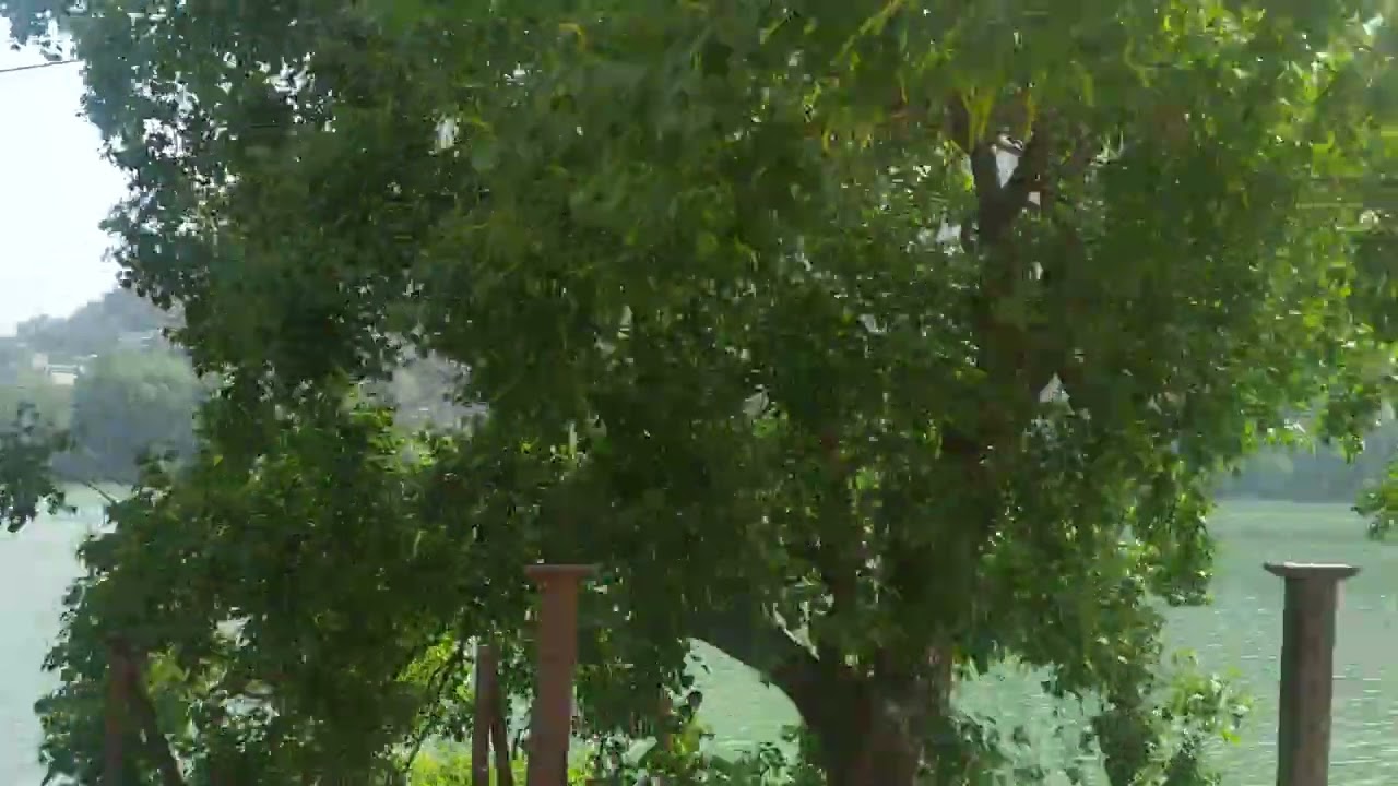 Ninital Lake View !!!!!!