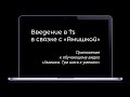 Введение в Ts в связке с Амишкой (гайд v1.1)