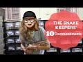 10 Reminders Before Paying For That Snake