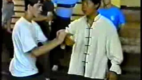 Master Wen-Ching Wu teaches Pushing Hands