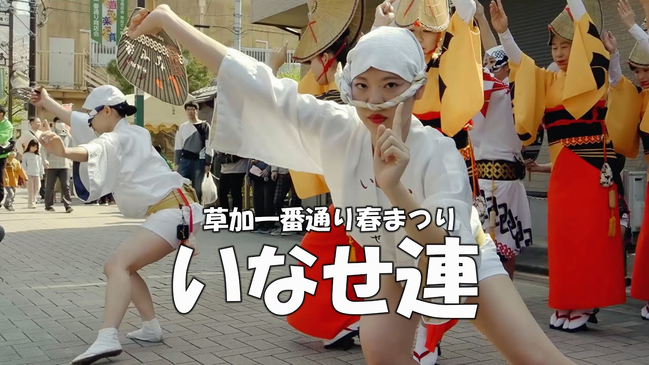 【アンコール公開】南越谷阿波踊り殿堂入りの「いなせ連」草加の春まつりで魅せた初披露 - Inase Ren Awa Odori Performance（2025.4.12）