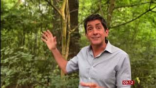 Wildlife declining in UK woods despite more tree cover: Woodland Trust | BBC Breakfast News 10.06.25